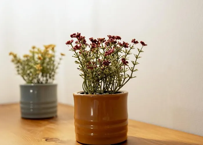 Appartement Lito2apart Litochoro